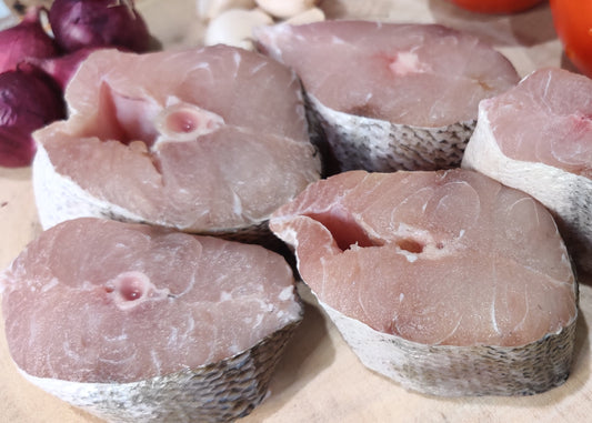 Barracuda / Sheela / சீலா / ശീല / చీల / सीला