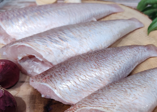 ThreadFin / Sankara / சங்கரா / ചെമ്പള്ളി / తుందవ / रानी