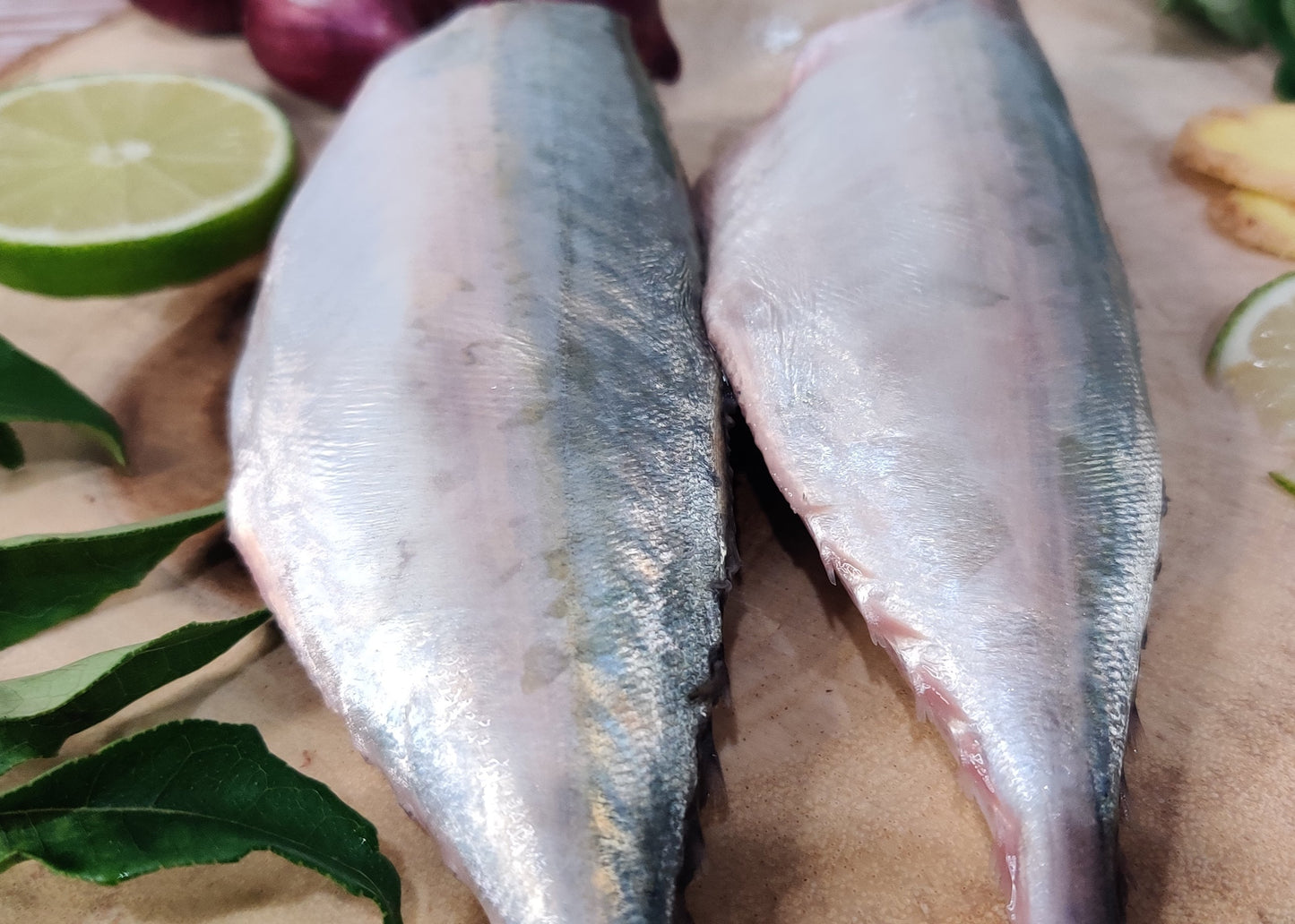 Indian Mackerel / Ayala / அயில / അയല / బంగడ / बांगड़ा