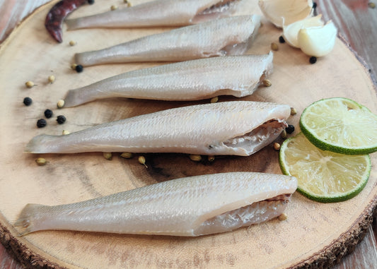 White Lady Fish / Vellai Kelanga / வெள்ளை கெலங்கா / പൊമീൻ / పలబొంత / बेलन