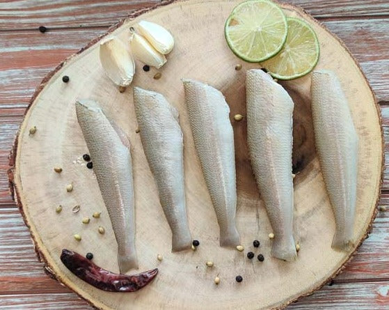 White Lady Fish / Vellai Kelanga / வெள்ளை கெலங்கா / പൊമീൻ / పలబొంత / बेलन