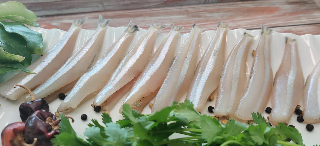 Anchovy / Nethili / நெதில்லி / നെതില്ലി / నెత్తిల్లి / नोना मछली