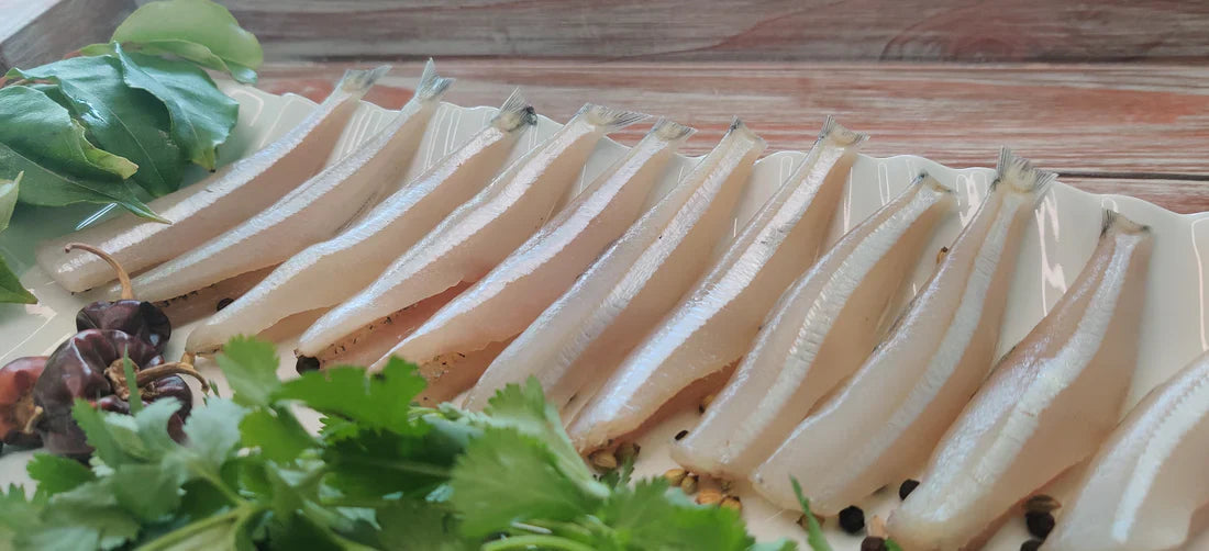 Anchovy / Nethili / நெதில்லி / നെതില്ലി / నెత్తిల్లి / नोना मछली