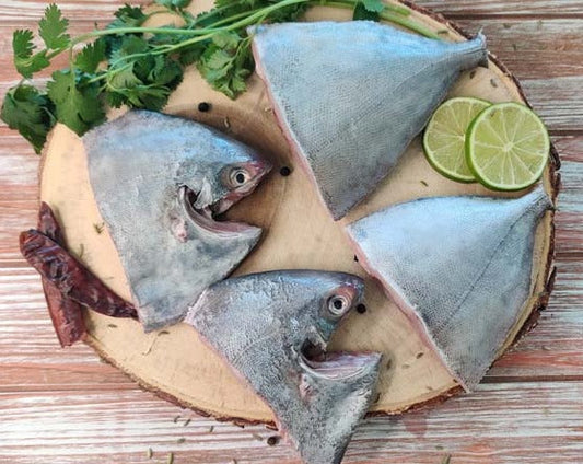 Black Pomfret / Vavval / வவ்வால் / ആവോലി / నల్ల చందువ / काली पापलेट