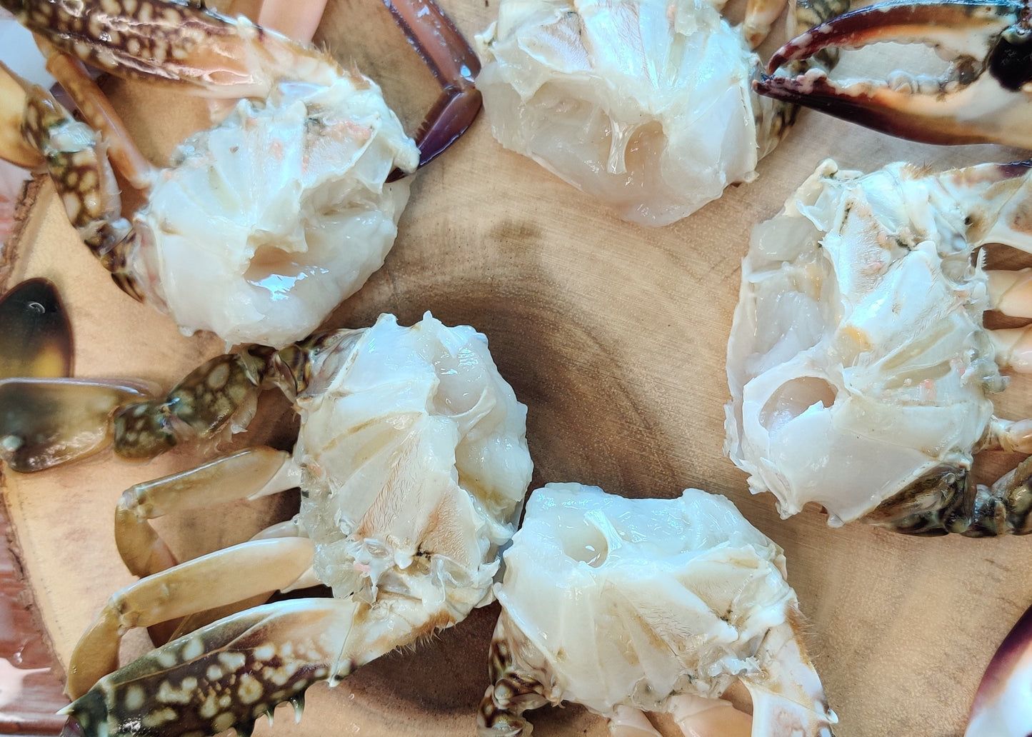 Indian Blue Crab/ Nandu / நண்டு / ഞണ്ട് / పీత / केकड़ा