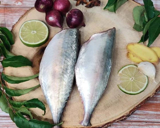 Indian Mackerel / Ayala / அயில / അയല / బంగడ / बांगड़ा