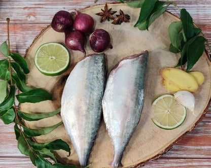Indian Mackerel / Ayala / அயில / അയല / బంగడ / बांगड़ा