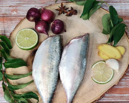 Indian Mackerel / Ayala / அயில / അയല / బంగడ / बांगड़ा