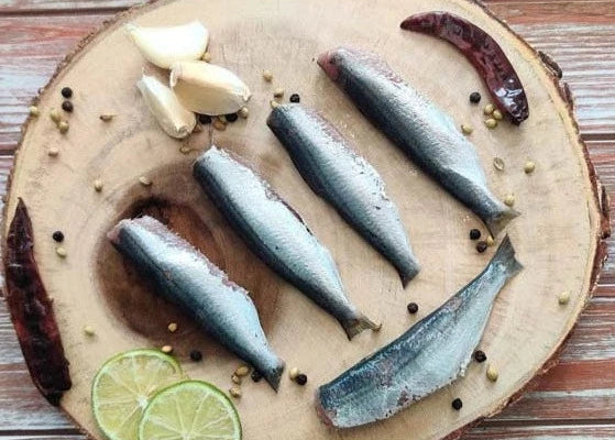 Sardine / Mathi / மத்தி / മത്തി / కావలు / सरडिन