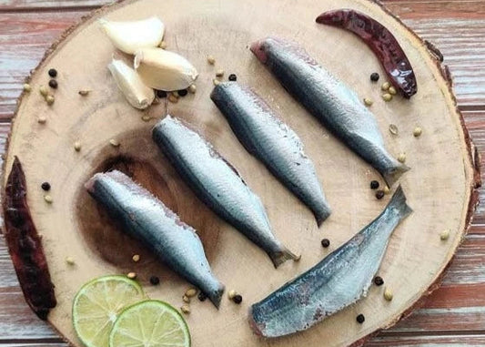 Sardine / Mathi / மத்தி / മത്തി / కావలు / सरडिन