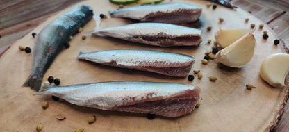 Sardine / Mathi / மத்தி / മത്തി / కావలు / सरडिन