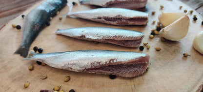 Sardine / Mathi / மத்தி / മത്തി / కావలు / सरडिन