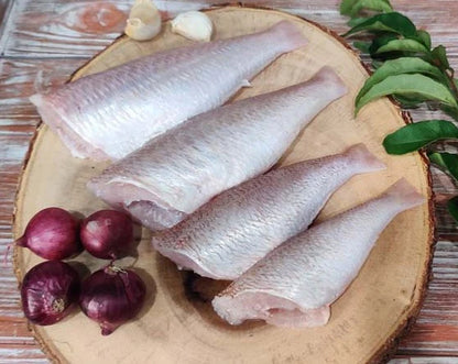ThreadFin / Sankara / சங்கரா / ചെമ്പള്ളി / తుందవ / रानी