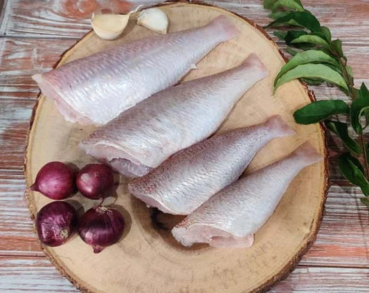 ThreadFin / Sankara / சங்கரா / ചെമ്പള്ളി / తుందవ / रानी