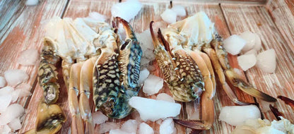Indian Blue Crab/ Nandu / நண்டு / ഞണ്ട് / పీత / केकड़ा