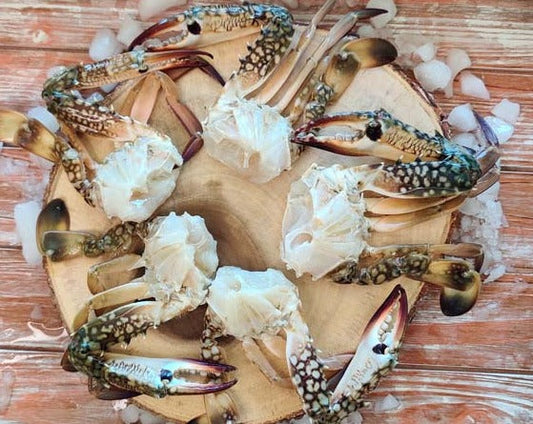 Indian Blue Crab/ Nandu / நண்டு / ഞണ്ട് / పీత / केकड़ा