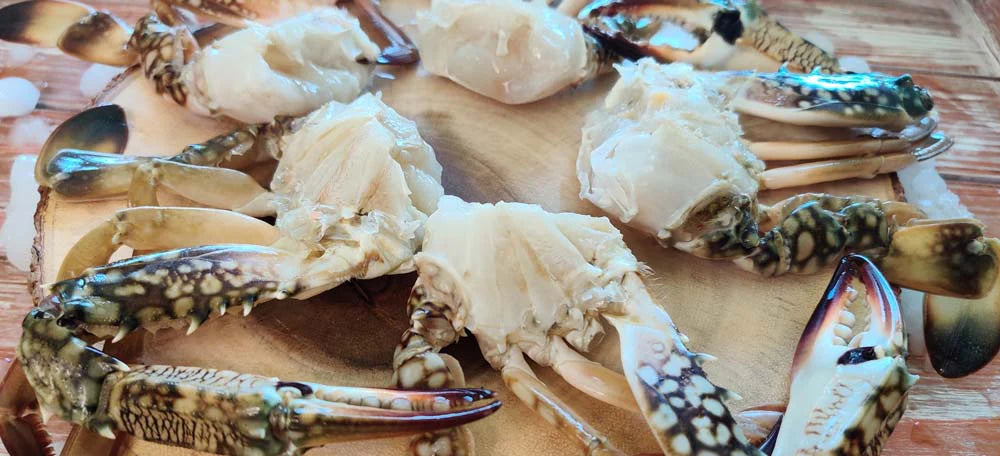 Indian Blue Crab/ Nandu / நண்டு / ഞണ്ട് / పీత / केकड़ा