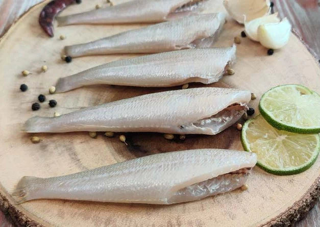 White Lady Fish / Vellai Kelanga / வெள்ளை கெலங்கா / പൊമീൻ / పలబొంత / बेलन