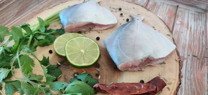 Silver Pomfret / Vavval / வவ்வால் / ആവോലി / తెల్ల చందువ / सफेद पापलेट